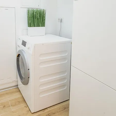 Deluxe Daire Graz